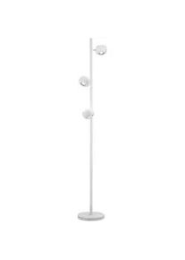 Musterring Led-Stehleuchte , Weiß , Metall , F , 150 cm , Farben fixierbar, Farbtemperaturwechsler , Lampen & Leuchten, Leuchtenserien