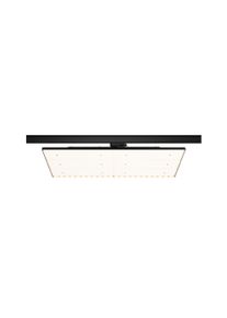 Paulmann ProRail3 LED-panel Deck 6600lm 75W 3000K 230V Sort