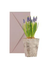 3D card: Pearl hyacinth