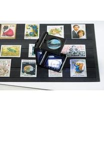 Linen Tester 5x magnification, with LED