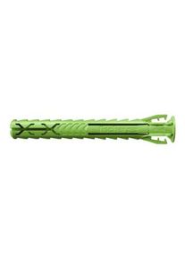 Fischer Tassello SX Plus Green 8x65