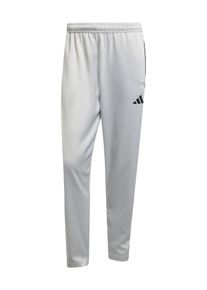 adidas Sportswear Spodnie sportowe 'Tiro' dla mężczyzn szary / czarny Rozmiar XL