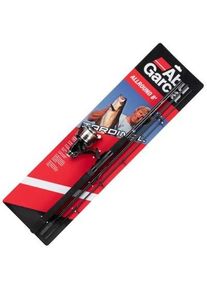 Abu Garcia Cardinal Combo Allround 8Ft