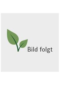allnatura Massivholzbett "Ravenna" NEU | 120x200 cm | 100% ökologisch