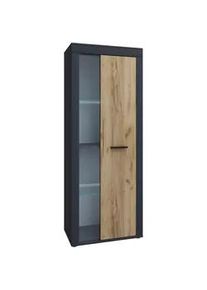 Vcm Mid.you Vitrine , Anthrazit, Honigeiche , Glas, Holzwerkstoff , 3 Fächer , 60x159x35 cm , stehend , Esszimmer, Vitrinen