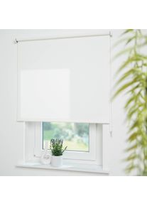 Liedeco Seitenzugrollo »Uni«, Lichtschutz, mit Bohren, freihängend, Montage ohne Bohren zum Klemmen mit separatem Klemmträger möglich