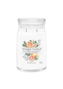 yankee candle 1629992E WHITE SPRUCE & GRAPEFRUIT VELKA SVIECKA SIGNATURE, 567G