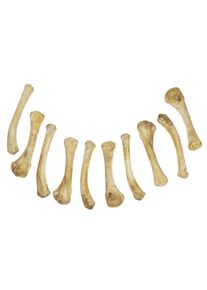 Set of Resin Bones - Chicken legs (10 Pieces)