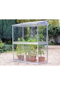 Access Tomatenhaus aus Glas Mini-Gewächshaus aus Alu | 3 mm Sicherheitsglas | freistehend | B65xL121cm | 25 Jahre Garantie | hochwertiges Mini-Gewächshaus