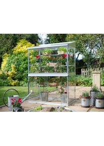 Access Growhouse Mini-Gewächshaus aus Alu | 3 mm Sicherheitsglas | freistehend | B63xL121cm | 25 Jahre Garantie | hochwertiges Mini-Gewächshaus