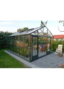 Maxi Plus 380 Alu-Gewächshaus | 4 mm Sicherheitsglas | ab B380xL309cm | Alu Blank oder Pulverlackiert | 12 Jahre Garantie | hochwertiges Gewächshaus
