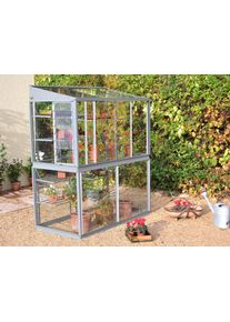 Access Exbury 5 Mini-Gewächshaus aus Alu | 4 mm Sicherheitsglas | freistehend | B79xL151cm | 25 Jahre Garantie | hochwertiges Mini-Gewächshaus