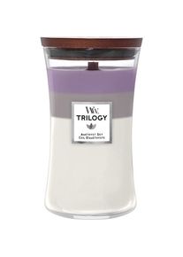 WoodWick Geurkaarsen Amethyst Sky Kaarsen Dames 610 g