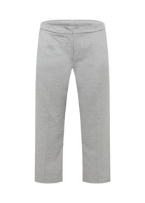 SAMOON Dames Pantalon 'Lotta' grijs 44
