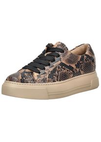 Paul Green Baskets basses Femme marron taille 38.5