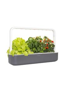 Click & Grow Smart Garden 9 - Indoor Kräutergarten (Farbe: weiß oder grau)