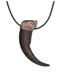 3D Print - Bear Claw Pendant with Leather Strap (10cm)