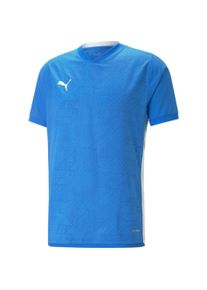 Puma, Herren, Sportshirt, teamCUP Jersey (XL), Blau, XL