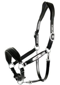 Schockemöhle Fremont Pro SP Halfter, black/silver, VB