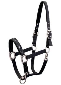 Schockemöhle Memphis SP Halfter, black, VB