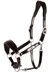 Schockemöhle Fremont Pro SP Halfter, espresso/silver, WB