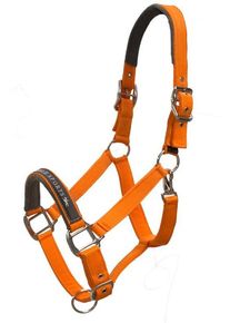 Schockemöhle Memphis SP Halfter, orange, VB