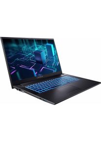 Captiva Power Starter I76-092 Core i7 UHD Graphics (17.30", Intel Core i7-1255U, 32 GB, 1000 GB, DE), Notebook, Schwarz
