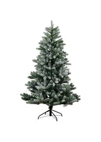 Sirius, Weihnachtsbaum, Anton (210 cm)