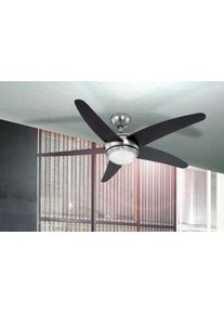 Ventilateur Globo FABIOLA Acier inoxydable, Nickel mat, 1 lumière, Télécommandes