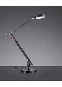 Lampe de table Trio AMSTERDAM LED Noir, 1 lumière