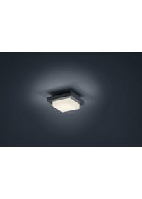 Decken- Plafonnier, Applique murale Luminaires Trio LED Anthracite, 1 lumière