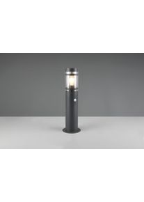 Reality lights PALOMA outdoor floor lamp anthracite, 1-light source, Motion sensor