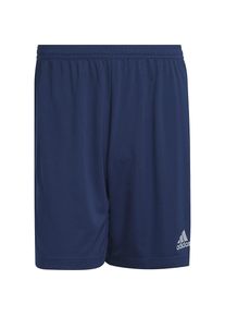Adidas, Herren, Sporthose, Entrada 22 Shorts Herren (XL), Blau, XL