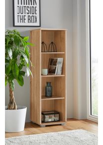 Priess Standregal in braun, Größe B/H/T: 41 cm x 135 cm x 38 cm