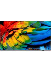 Philips 43HFL6214U/12 (43", LCD, 4K), TV, Grau
