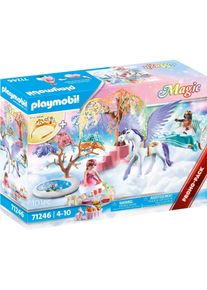 Playmobil Magic Picknick mit Pegasus-Kutsche (71246, Playmobil Magic)