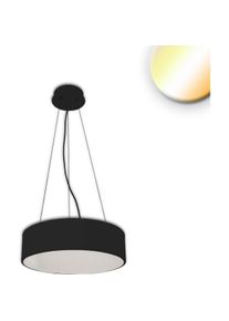 Isoled, Pendelleuchte, LED Hängeleuchte, DN600, schwarz, 52W, ColorSwitch 3000/3500/4000K, dimmbar