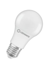 LEDVANCE, Leuchtmittel, LED-Lampe (E27, 806 lm, 1 x)
