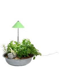 Colibri, Pflanzenlampe, Sunlite (LED, 230 V)