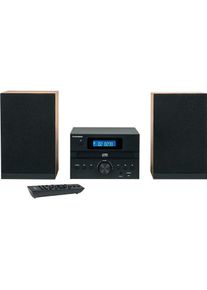 Thomson Micro Sound System Bt Radio Fm (Bluetooth, 1x 40 W), Stereoanlage, Schwarz, Silber