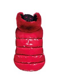 Croci -30% Spa CHERY SHEENS jacket 20cm (20, Hundemantel), Hundebekleidung