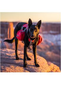 Kurgo Baxter (M), Hundebekleidung