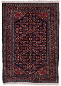 Lilian Perski dywan 160 x 110 (Iran) Ręcznie Tkany