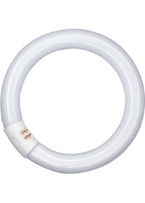 Osram, Leuchtmittel, Lumilux T9 C (G10q, 1350 lm, 1 x)