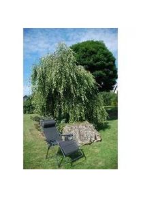 Xxxl Garten-Relaxsessel , Anthrazit , Metall, Kunststoff, Textil , 71x131x75 cm , klappbar, UV-beständig, inklusive Armlehnen, abwischbar, Nackenkissen abnehmbar , Gartenmöbel, Gartenliegen, Liegestühle