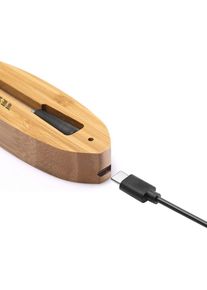 Tesla, Grillthermometer, BBQ100