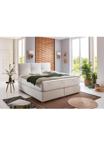 grne betten grüne betten Boxspring Alina met pocketveringsmatras, 100% veganistisch boxsprings maat Structuurstof wit