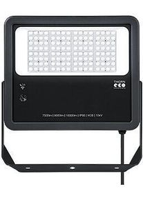 THORNeco LEO FLEX 840 PC LED-Fluter Flutlichtstrahler Außenbeleuchtung 40000lm 300W 4000K anthrazit