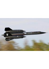 Freewing SR-71 Blackbird 960mm PNP mit Gyro