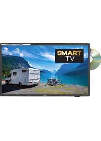 Reflexion LDDW240 LED HD-TV, 24" (60cm), DVB-S2/C/T2 DVD